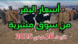 سوق البقر لمدينة مشرية يوم 26 فيفري 2025