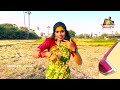 yellamma bonalu janulyri janulyri vlogs