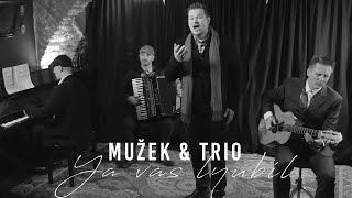 Mužek \u0026 Trio - Ya vas lyubil