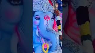 Bagalur all Ganesh 2k24 #trendingshorts