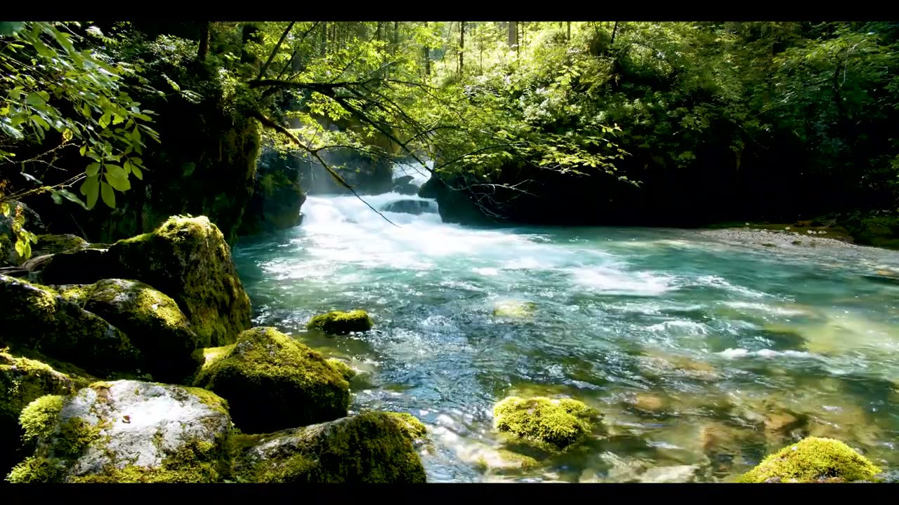 Calming Mountain River Relaxing Nature Sounds Gentle River Sleep 10