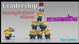 Leadership short video -නායකත්වය Leadership and effective collaboration