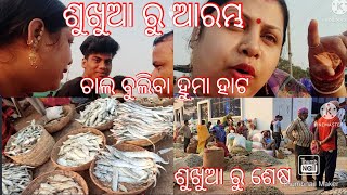 ଶୁଖୁଆ ରୁ ଆରମ୍ଭ //  kadambini official🙏 🐷🐠🦐🐟🐬🦈//