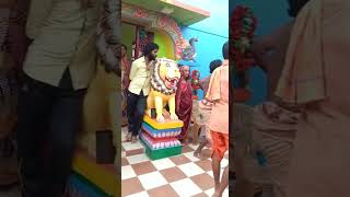 maa bankeswari jatra// chikiti pentho 🙏🙏