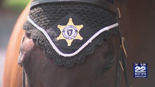 Square One kids get a surprise visit from Sheriff’s Mounted Patrol