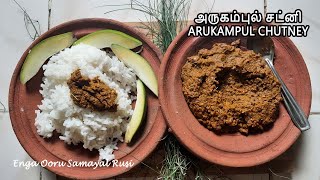 Arugampul chutney|Arugampul thuvaiyal|thuvaiyal recipe|health benifits|Bermuda grass chutney