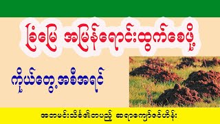 မိမိခြံမြေ အမြန်ရောင်းထွက်စေဖို့ ဆရာကျော်ဇင်ဟိန်းရဲ့ ကိုယ်တွေ့အစီရင်