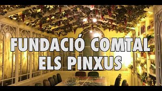 BARCELONAUTES / FUNDACIÓ COMTAL - ELS PINXUS