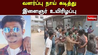 நாய் வளர்ப்பவர்களே, ஜாக்கிரதை… வளர்ப்பு நாய் கடித்து இளைஞர் உயிரிழப்பு |Dog |Rabies |SathiyamTv