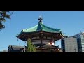 ueno park autumn leaves 上野公園の紅葉｢東京の紅葉｣