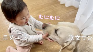 姉をおちょくったらフワッと達人のように倒された【長女ゴン🐕次女サン🐕三女ユウ👶】