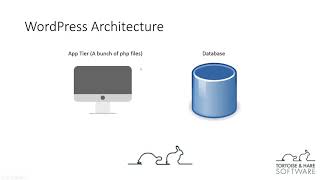 WordPress Architecture For Beginners