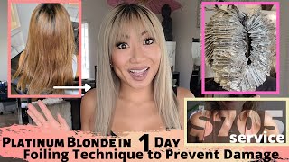 Platinum Blonde in One Day - Prevent Damaging Blondes - Brown to Blonde Transformation