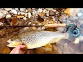 Fly fishing in Bosnia 🇧🇦 | Neretva Konjic - May 2024 | Big natives part 1