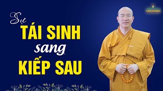 Cái gì dẫn dắt con người đi tái sinh sang kiếp sau? | Thầy Thích Trúc Thái Minh