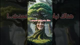 أجمل و أغرب المعلومات في العالم 🌍🤍