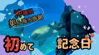 【初めて】美ら海水族館♪お魚いっぱい【記念日】