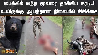 பைக்கில் வந்த மூவரை தாக்கிய கரடி.! உயிருக்கு ஆபத்தான நிலையில் சிகிச்சை