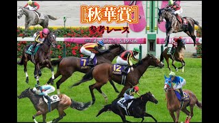 秋華賞2024参考レース