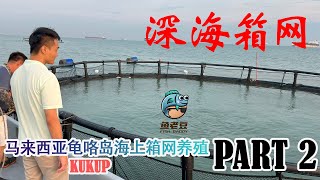 【魚老豆】深海箱网养殖 —— 馬來西亞龜咯島 Part 2