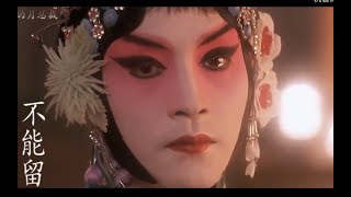 【霸王别姬】一生程蝶衣，百年张国荣 farewall my concubine