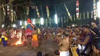 Nagakaali theyyam thira malabar