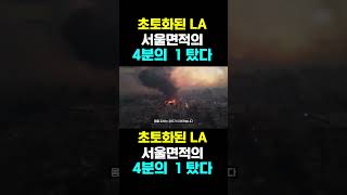 [한국농수산TV] 초토화된 LA, 서울면적의... 4분의 1 탔다