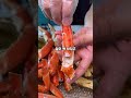 서울 최초 킹크랩 랍스타 대게 무한리필🦀라봉크랩🦀