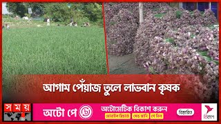 আগাম পেঁয়াজ তুলে লাভবান কৃষক | Manikganj Onion | Profitable Farmer | Somoy TV