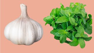 Garlic  Mix with Mint leaves , Honey and you will thank me ~ simple recipe