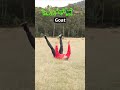 if animals glitched irl. part 2