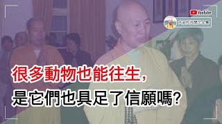 很多动物也能往生，是它们也具足了信愿吗？【大安法师开示】