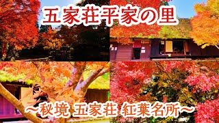 【やす旅公式Vlog】五家荘平家の里～五家荘紅葉名所～