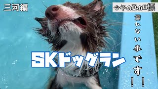 【ドッグラン編】飼い主の夏休みに付き合わされる【4日目】Vol.24