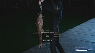 FF15 ノクトの釣りギャラリー023匹目「モトルドキャットフィッシュ」出現条件と簡単に釣りあげる方法