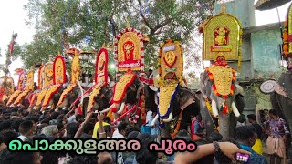 പൊക്കുളങ്ങര പൂരം | pokkulangara pooram 2024