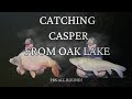 Catching CASPER From Oak Lake @ Coking Farm. PB's All Round