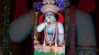 santipur gopal pujo 2024 #santipur #shortvideo