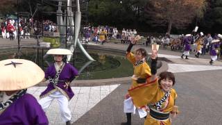 伊勢天照連（四日市よさこい2011）