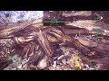 mhw 歴戦クシャルダオラ 大剣 1分38秒