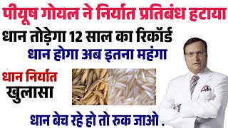 धान के भाव में तूफानी तेजी ।धान भाव में बड़ा बदलाव dhaan price, dhaan rate teji Mandi report