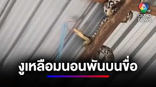 ลูกค้าแตกตื่น ! พบงูเหลือมนอนพันบนขื่อที่อู่ซ่อมรถ | 7 วัน 7 อย่าง