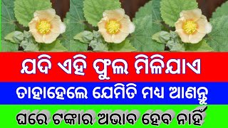 dhan vridhi | dhan papti ke upay | tec bigyan | tec bigyan odia | tec bigyan channel | dhana bruddhi