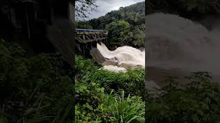 Kallarkutty Dam