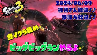 スプラトゥーン3 参加型 ライブ／ビッグビッグラン🟡オカシラ連合倒そう(｀･ω･´)🐟✨／サーモンラン　女性実況　#shorts