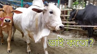 Bhai Koto Nilo? | Paragram Gorur Haat 2022 | Qurbani Cow Price In Bangladesh Part 5