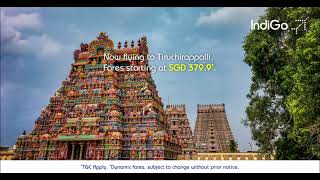 Travel to Tiruchirapalli from Singapore | IndiGo 6E