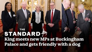 King meets new MPs at Buckingham Palace and gets friendly with a dog