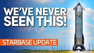 Is This the Fastest Turnaround Yet? | Starbase Update