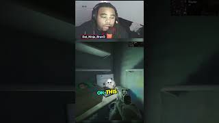 What Did We Just Find